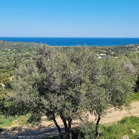 Charmant Petit Logement A 3 Kms De La Plage Belgodere  Bagian luar foto