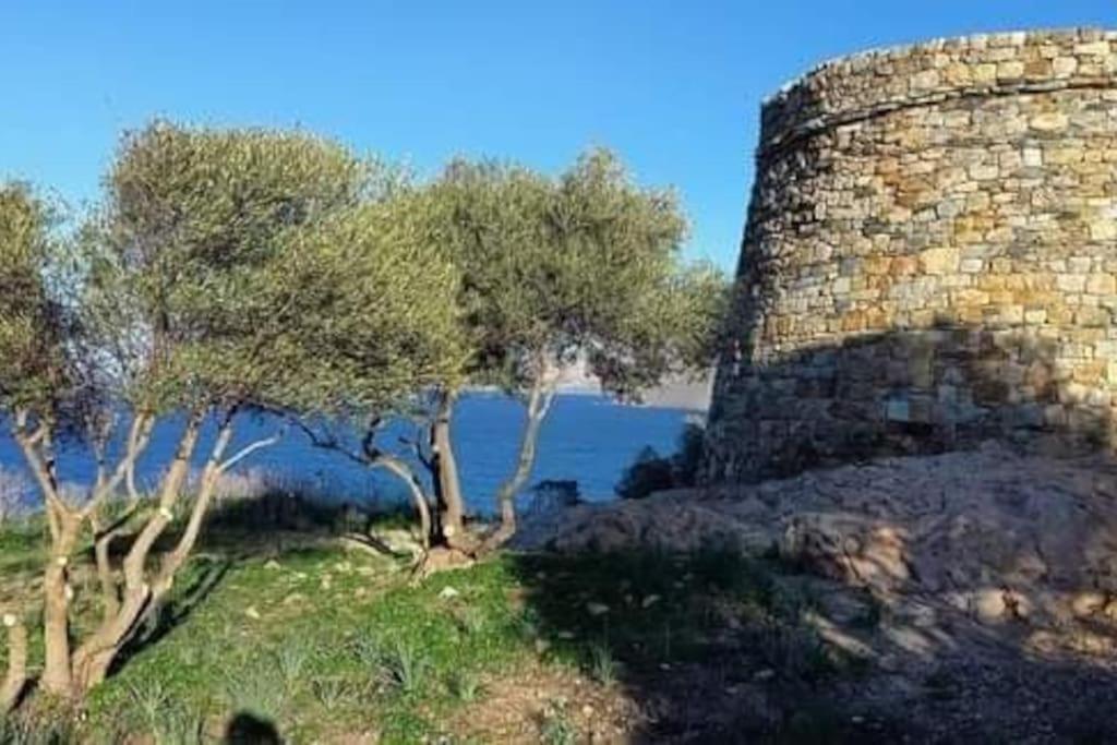 Charmant Petit Logement A 3 Kms De La Plage Belgodere  Bagian luar foto