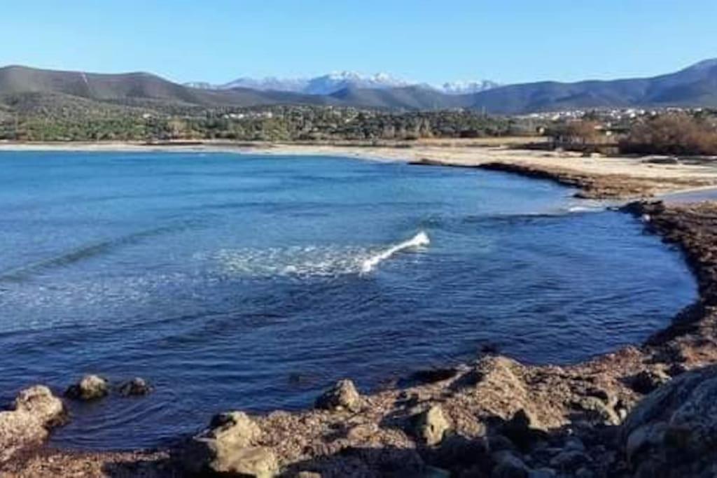 Charmant Petit Logement A 3 Kms De La Plage Belgodere  Bagian luar foto
