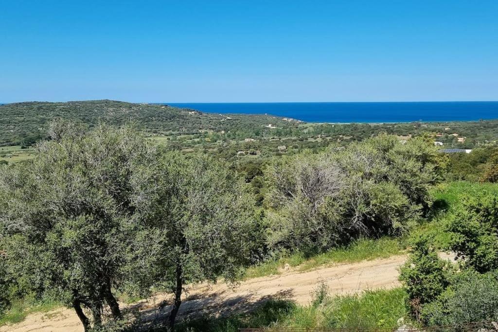 Charmant Petit Logement A 3 Kms De La Plage Belgodere  Bagian luar foto